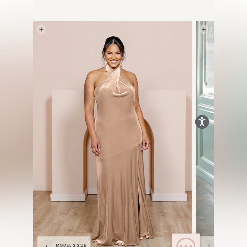 Revelry Athena velvet dress